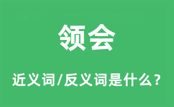 领会的近义词和反义词是什么,领会是什么意思