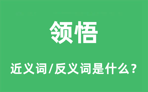 领悟的近义词和反义词是什么,领悟是什么意思