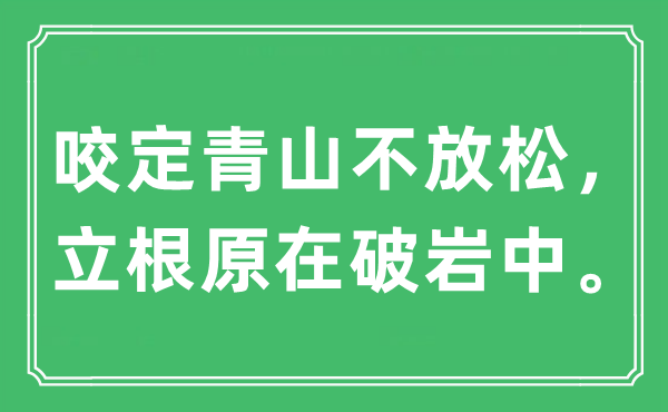 “咬定青山不放松，立根原在破岩中。”是什么意思,出处及原文翻译