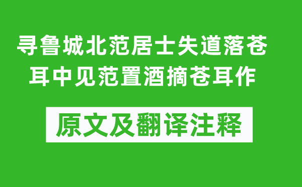 李白《寻鲁城北范居士失道落苍耳中见范置酒摘苍耳作》原文及翻译注释,诗意解释