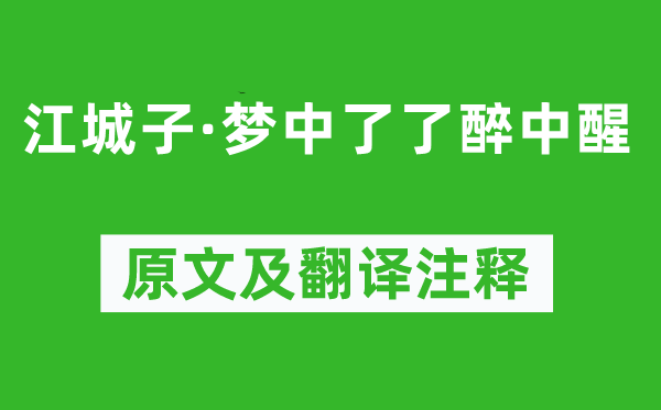 苏轼《江城子·梦中了了醉中醒》原文及翻译注释,诗意解释