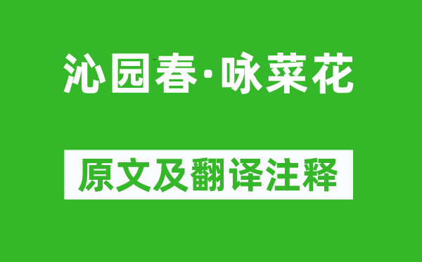 陈维崧《沁园春·咏菜花》原文及翻译注释,诗意解释