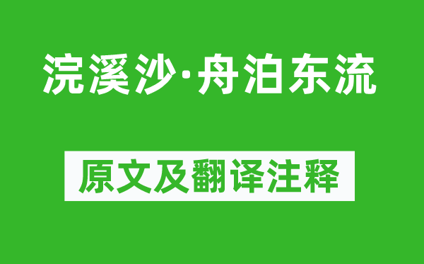 薛时雨《浣溪沙·舟泊东流》原文及翻译注释,诗意解释