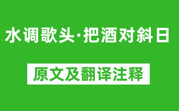 杨炎正《水调歌头·把酒对斜日》原文及翻译注释,诗意解释