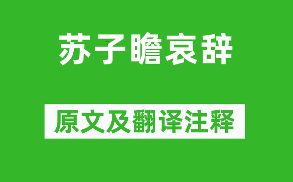 张舜民《苏子瞻哀辞》原文及翻译注释,诗意解释