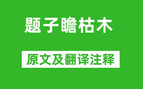 黄庭坚《题子瞻枯木》原文及翻译注释,诗意解释