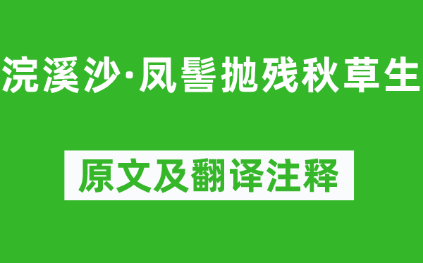 纳兰性德《浣溪沙·凤髻抛残秋草生》原文及翻译注释,诗意解释