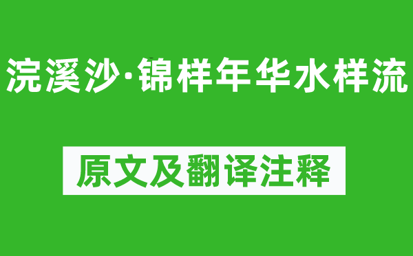 纳兰性德《浣溪沙·锦样年华水样流》原文及翻译注释,诗意解释