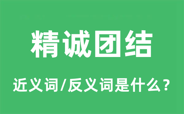 精诚团结的近义词和反义词是什么,精诚团结是什么意思