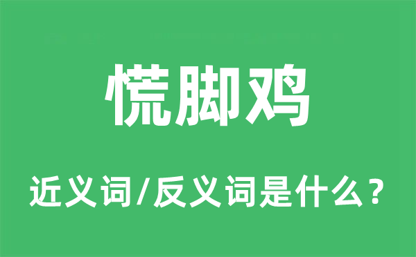 慌脚鸡的近义词和反义词是什么,慌脚鸡是什么意思