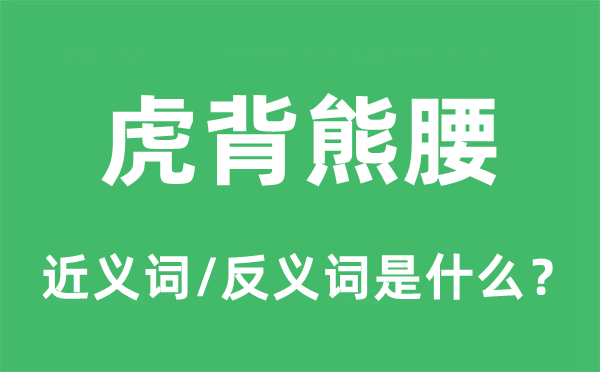 虎背熊腰的近义词和反义词是什么,虎背熊腰是什么意思