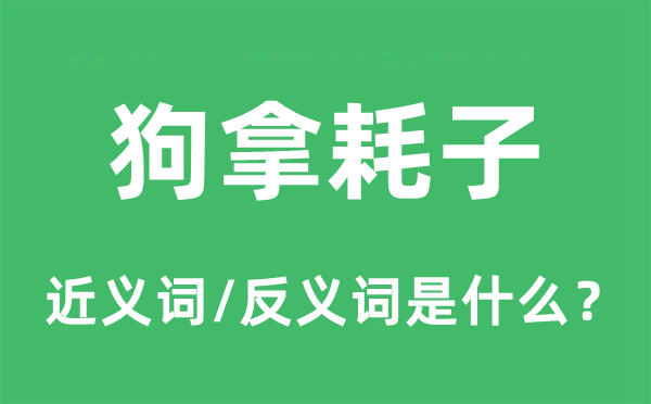 狗拿耗子的近义词和反义词是什么,狗拿耗子是什么意思