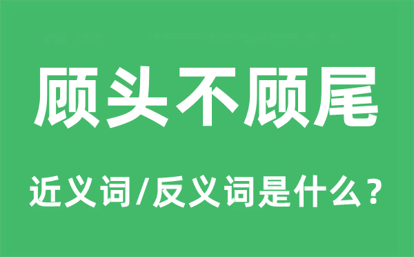 顾头不顾尾的近义词和反义词是什么,顾头不顾尾是什么意思