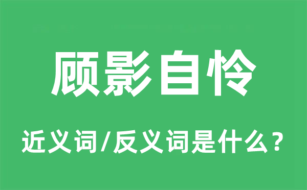 顾影自怜的近义词和反义词是什么,顾影自怜是什么意思