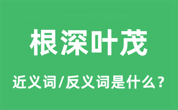 根深叶茂的近义词和反义词是什么,根深叶茂是什么意思