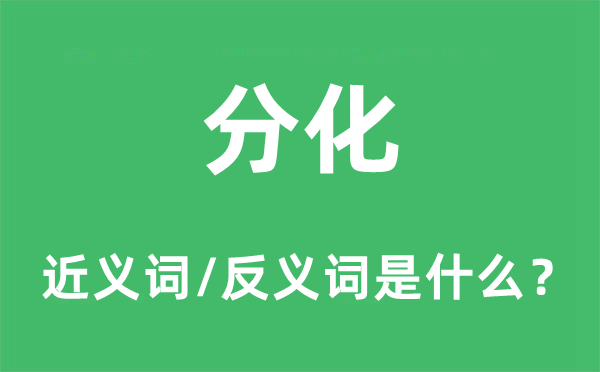 分化的近义词和反义词是什么,分化是什么意思