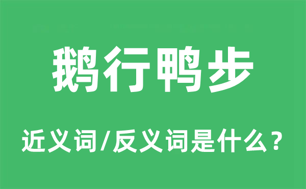 鹅行鸭步的近义词和反义词是什么,鹅行鸭步是什么意思