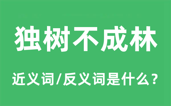 独树不成林的近义词和反义词是什么,独树不成林是什么意思