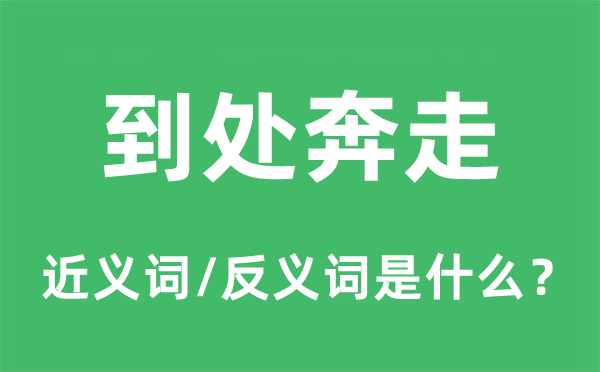 到处奔走的近义词和反义词是什么,到处奔走是什么意思