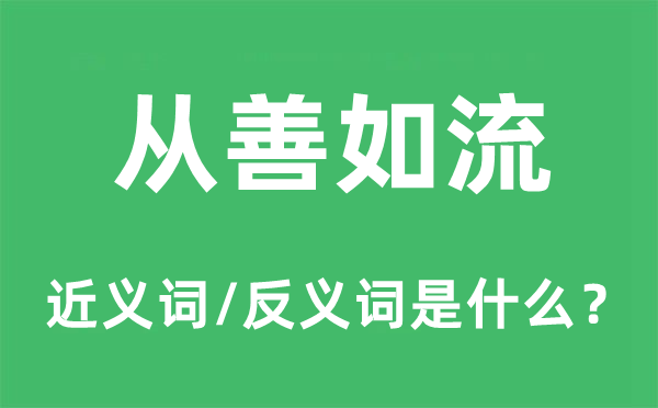 从善如流的近义词和反义词是什么,从善如流是什么意思