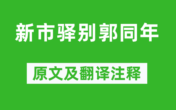 张咏《新市驿别郭同年》原文及翻译注释,诗意解释