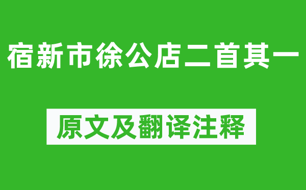 杨万里《宿新市徐公店二首其一》原文及翻译注释,诗意解释