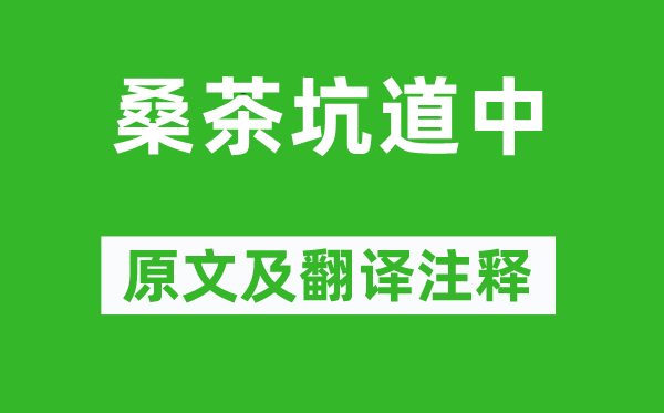 杨万里《桑茶坑道中》原文及翻译注释,诗意解释