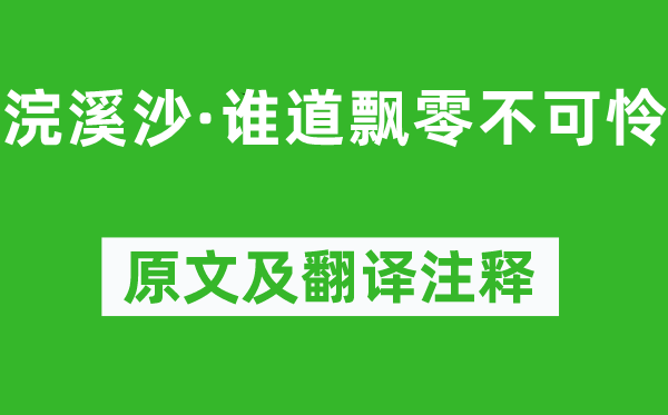 纳兰性德《浣溪沙·谁道飘零不可怜》原文及翻译注释,诗意解释