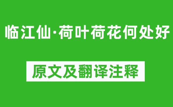 元好问《临江仙·荷叶荷花何处好》原文及翻译注释,诗意解释