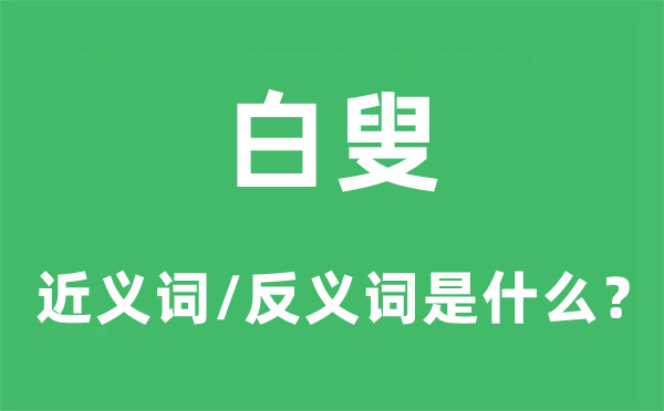 白叟的近义词和反义词是什么,白叟是什么意思