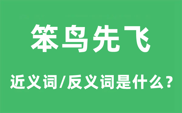 笨鸟先飞的近义词和反义词是什么,笨鸟先飞是什么意思