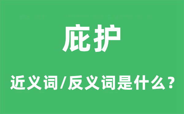 庇护的近义词和反义词是什么,庇护是什么意思