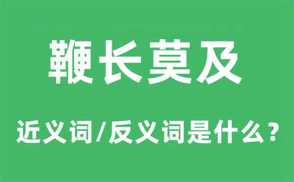 鞭长莫及的近义词和反义词是什么,鞭长莫及是什么意思