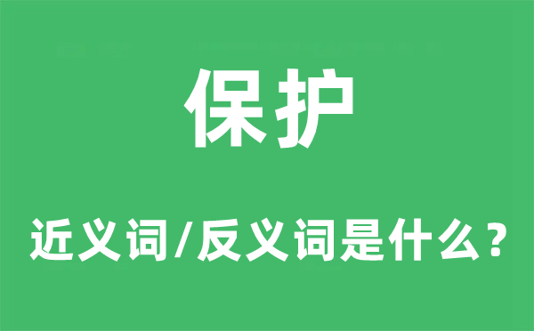 保护的近义词和反义词是什么,保护是什么意思