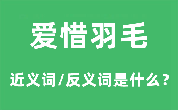 爱惜羽毛的近义词和反义词是什么,爱惜羽毛是什么意思