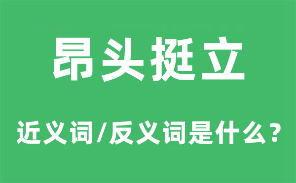 昂首挺立的近义词和反义词是什么,昂首挺立是什么意思