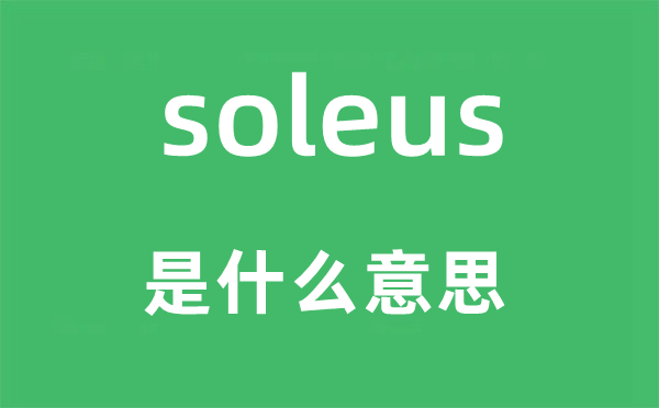 soleus是什么意思,soleus怎么读,中文翻译是什么