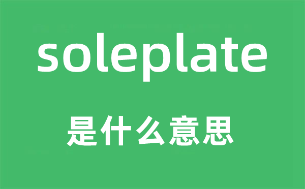 soleplate是什么意思,soleplate怎么读,中文翻译是什么