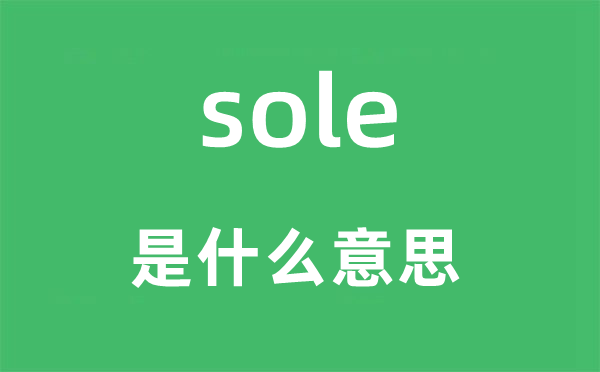 sole是什么意思,sole怎么读,中文翻译是什么