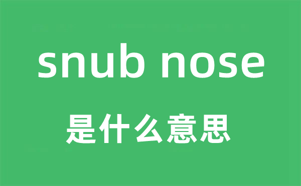 snub nose是什么意思,snub nose怎么读,snub nose中文翻译是什么