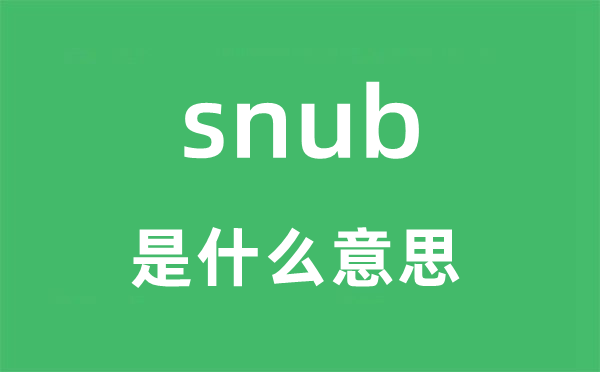 snub是什么意思,snub怎么读,snub中文翻译是什么