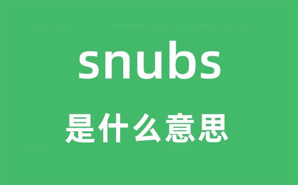 snubs是什么意思,snubs怎么读,snubs中文翻译是什么