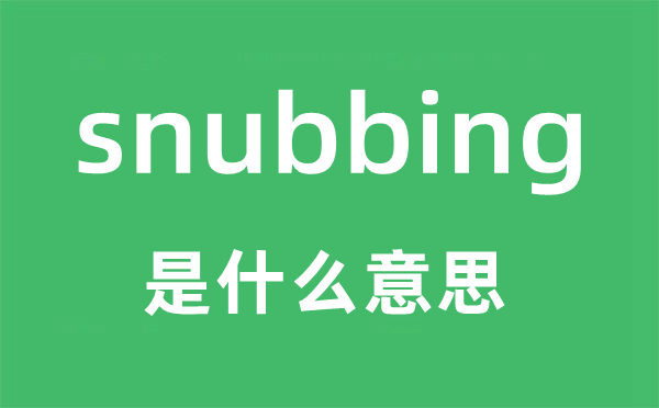 snubbing是什么意思,snubbing怎么读,snubbing中文翻译是什么