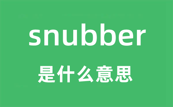 snubber是什么意思,snubber怎么读,snubber中文翻译是什么