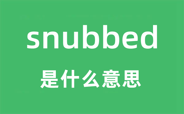 snubbed是什么意思,snubbed怎么读,snubbed中文翻译是什么