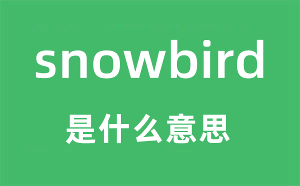 snowbird是什么意思,snowbird怎么读,snowbird中文翻译是什么