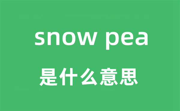 snow pea是什么意思,snow pea怎么读,snow pea中文翻译是什么