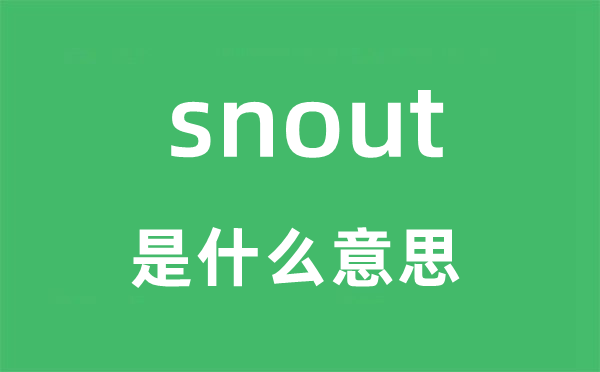 snout是什么意思,snout怎么读,snout中文翻译是什么