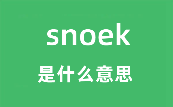 snoek是什么意思,snoek怎么读,snoek中文翻译是什么