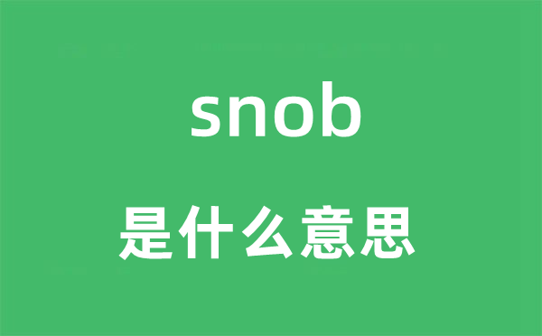 snob是什么意思,snob怎么读,snob中文翻译是什么